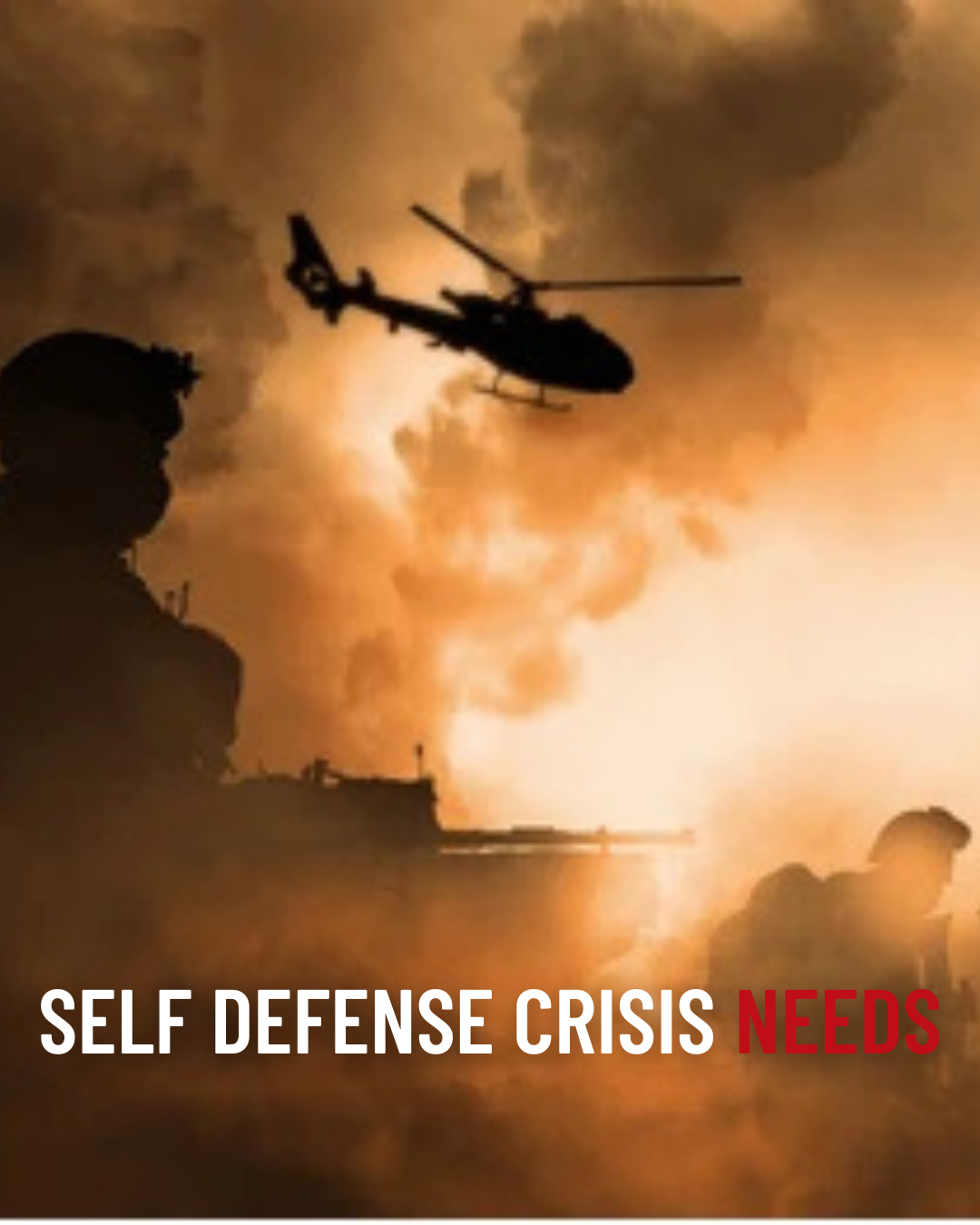 Self Defense Crisis Needs