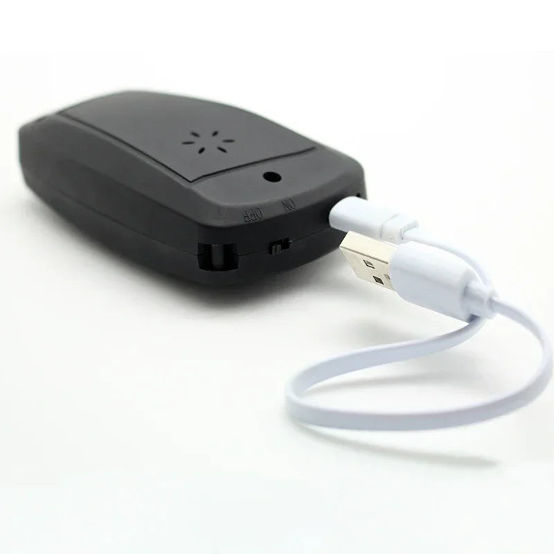 Car Key Stun Gun